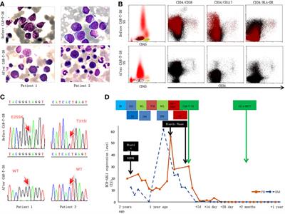 Case report: CD38-directed CAR-T cell therapy: A novel immunotherapy targeting CD38- positive blasts overcomes TKI and chemotherapy resistance of myeloid chronic myeloid leukemia in blastic phase